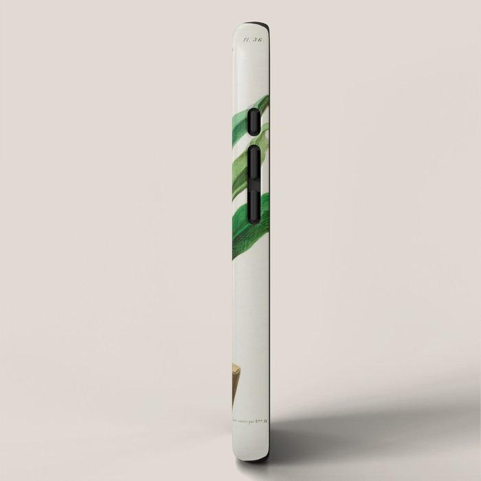 Coffee plant by Étienne Denisse from "Flore d'Amérique" (1843)  iPhone Case Gallery Image 2