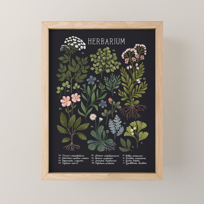 Herbarium ~ vintage inspired botanical art print ~ black Mini Art Print Gallery Image 1