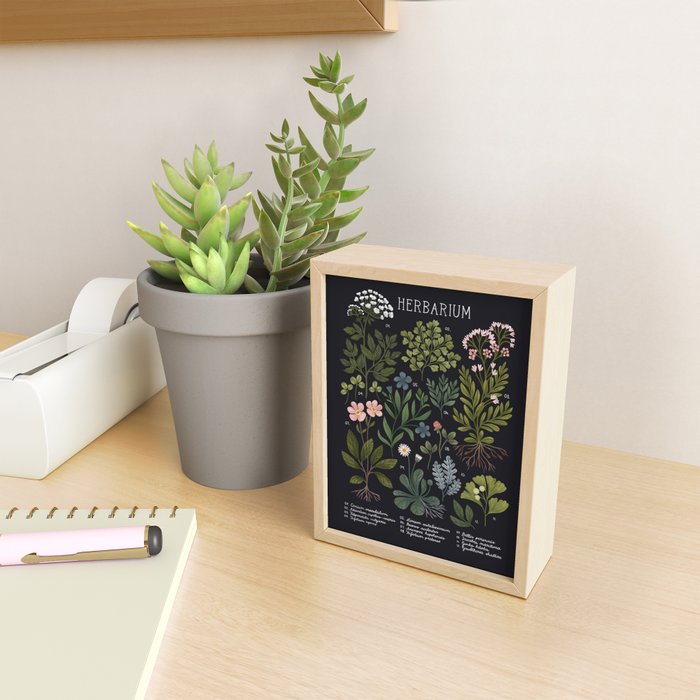 Herbarium ~ vintage inspired botanical art print ~ black Mini Art Print Gallery Image 2