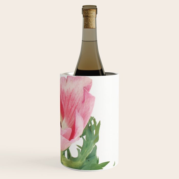 Pink Anemone Wine Chiller Gallery Image 3