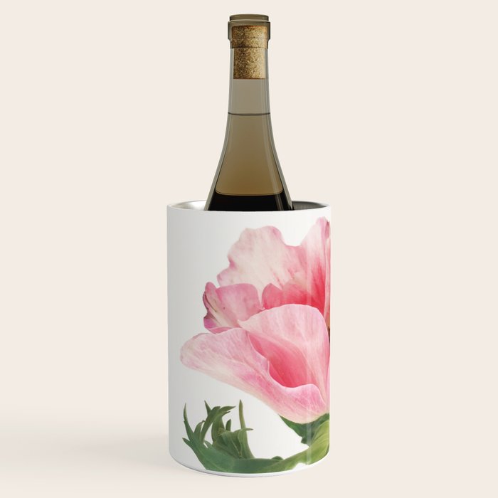 Pink Anemone Wine Chiller Gallery Image 2