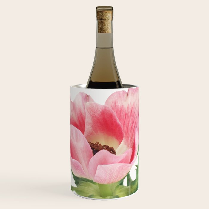 Pink Anemone Wine Chiller Gallery Image 1