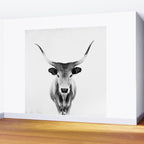 Wild Longhorn Cow Print - Black White Cow Portrait - Animal - Travel photograpy Wall Mural Gallery Image 2