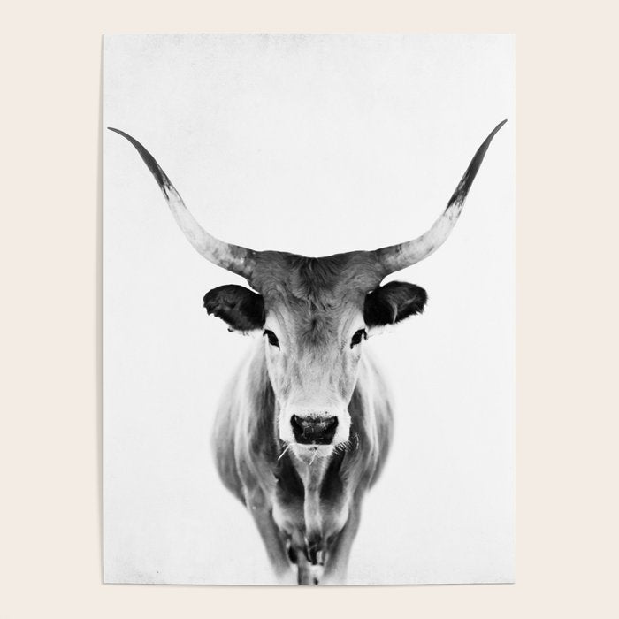 Wild Longhorn Cow Print - Black White Cow Portrait - Animal - Travel photograpy Poster Gallery Image 4