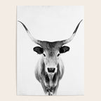 Wild Longhorn Cow Print - Black White Cow Portrait - Animal - Travel photograpy Poster Gallery Image 4