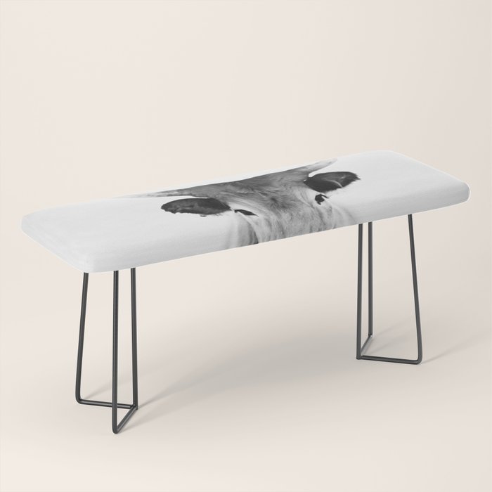 Wild Longhorn Cow Print - Black White Cow Portrait - Animal - Travel photograpy Bench Gallery Image 1