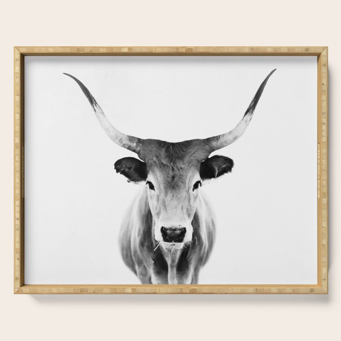 Wild Longhorn Cow Print - Black White Cow Portrait - Animal - Travel photograpy Serving Tray Gallery Image 1