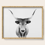 Wild Longhorn Cow Print - Black White Cow Portrait - Animal - Travel photograpy Serving Tray Gallery Image 1
