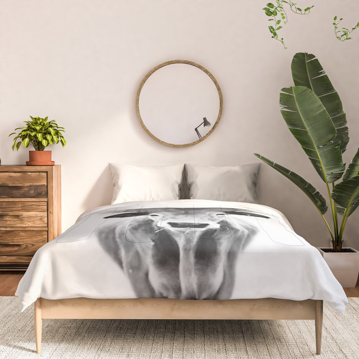 Wild Longhorn Cow Print - Black White Cow Portrait - Animal - Travel photograpy Comforter Gallery Image 3
