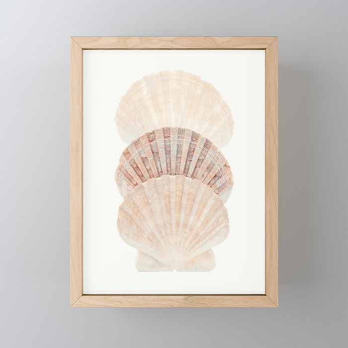 Beige Seashells Mini Art Print Gallery Image 1