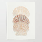 Beige Seashells Poster Gallery Image 4