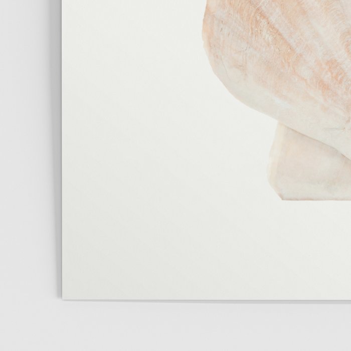 Beige Seashells Poster Gallery Image 3
