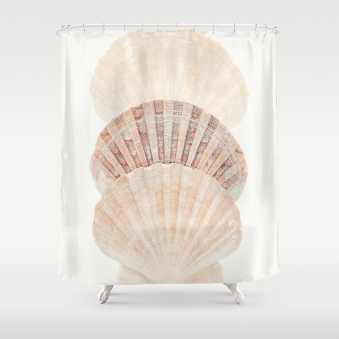 Beige Seashells Shower Curtain Gallery Image 1