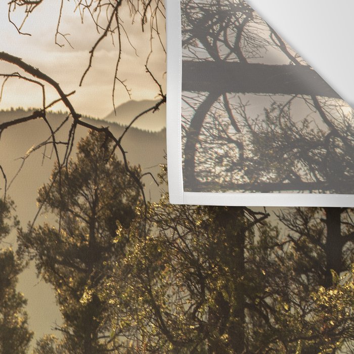 Mountain Forest New Mexico - Nature Photography Wall Tapestry Gallery Image 3