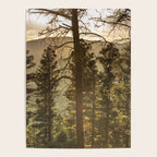 Mountain Forest New Mexico - Nature Photography Poster Gallery Image 4