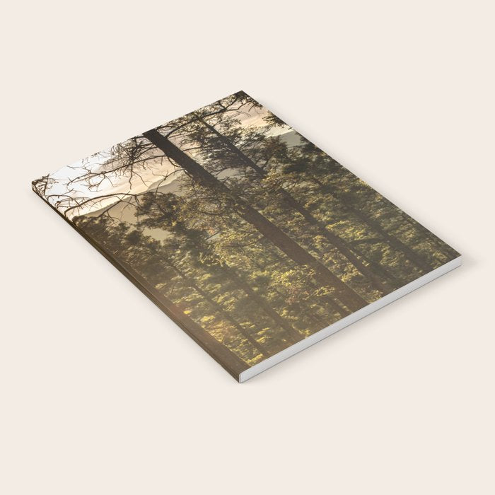 Mountain Forest New Mexico - Nature Photography Notebook Gallery Image 1