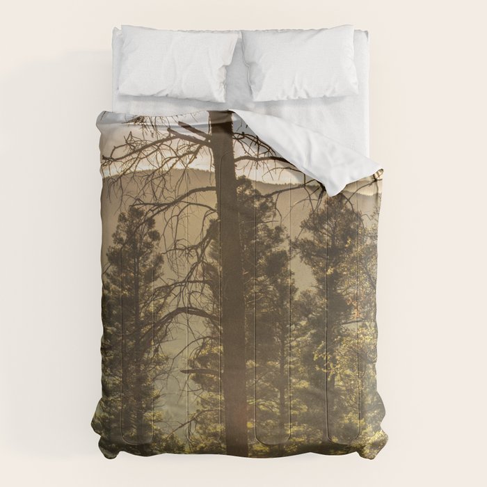 Mountain Forest New Mexico - Nature Photography Comforter Gallery Image 6