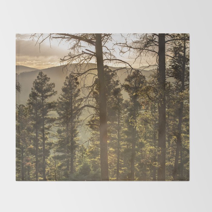 Mountain Forest New Mexico - Nature Photography Throw Blanket Gallery Image 2