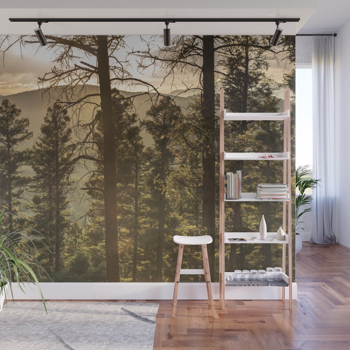 Mountain Forest New Mexico - Nature Photography Wall Mural Gallery Image 1