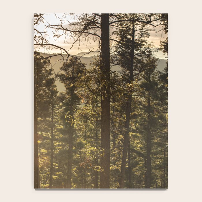 Mountain Forest New Mexico - Nature Photography Notebook Gallery Image 4