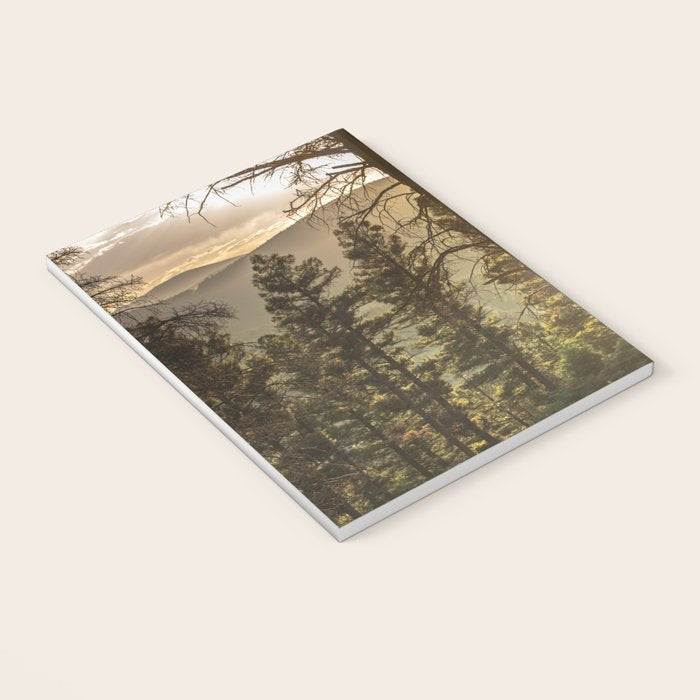 Mountain Forest New Mexico - Nature Photography Notebook Gallery Image 3