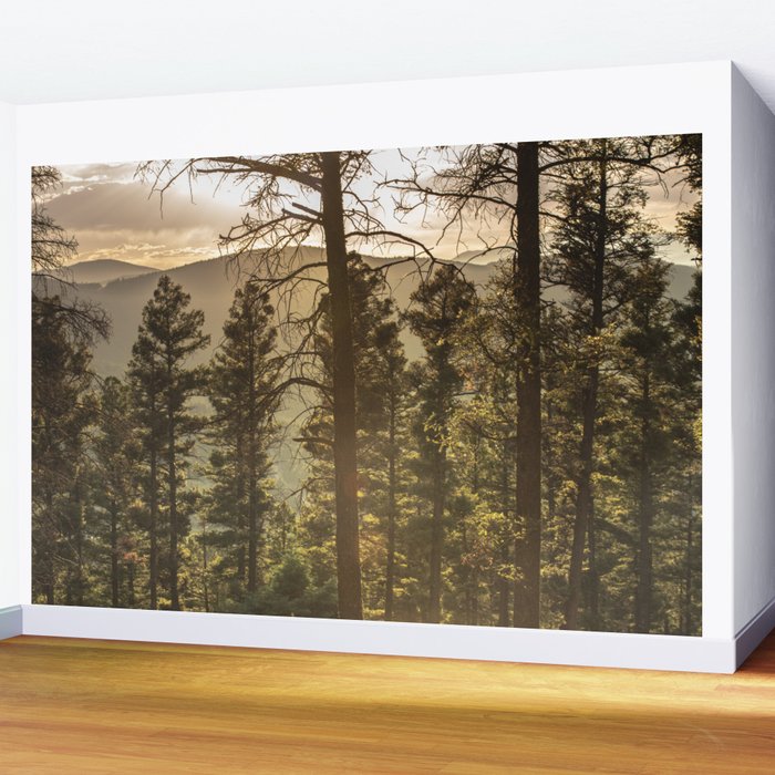 Mountain Forest New Mexico - Nature Photography Wall Mural Gallery Image 2