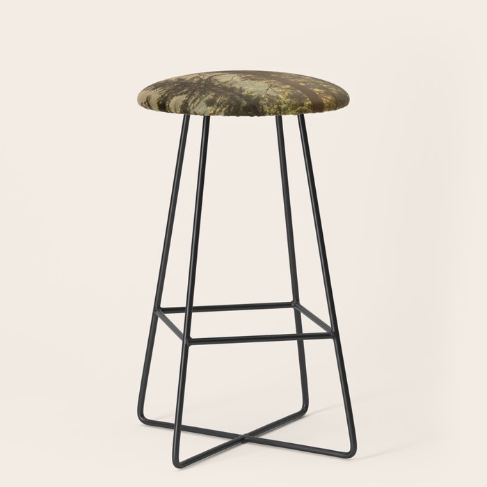 Mountain Forest New Mexico - Nature Photography Stool Gallery Image 1