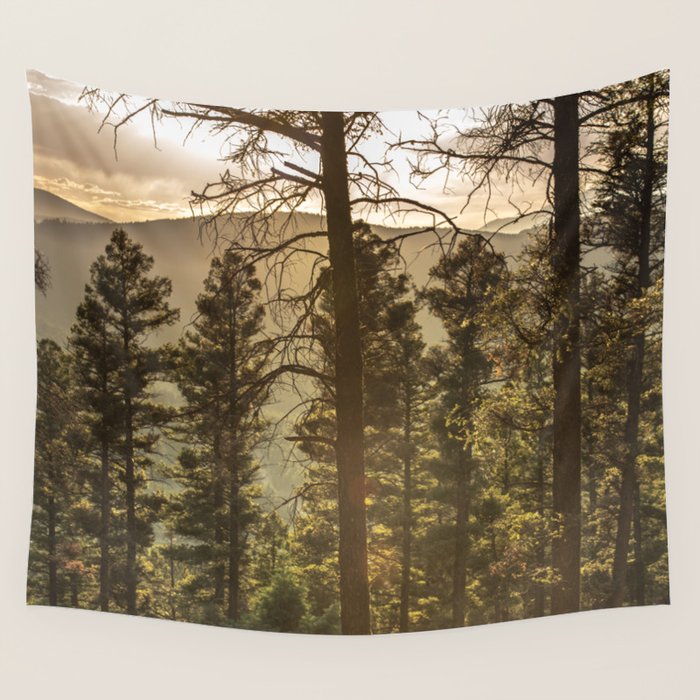 Mountain Forest New Mexico - Nature Photography Wall Tapestry Gallery Image 4