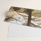 Mountain Forest New Mexico - Nature Photography Wrapping Paper Gallery Image 2