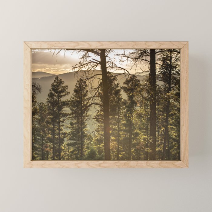 Mountain Forest New Mexico - Nature Photography Mini Art Print
