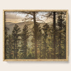 Mountain Forest New Mexico - Nature Photography Serving Tray Gallery Image 1