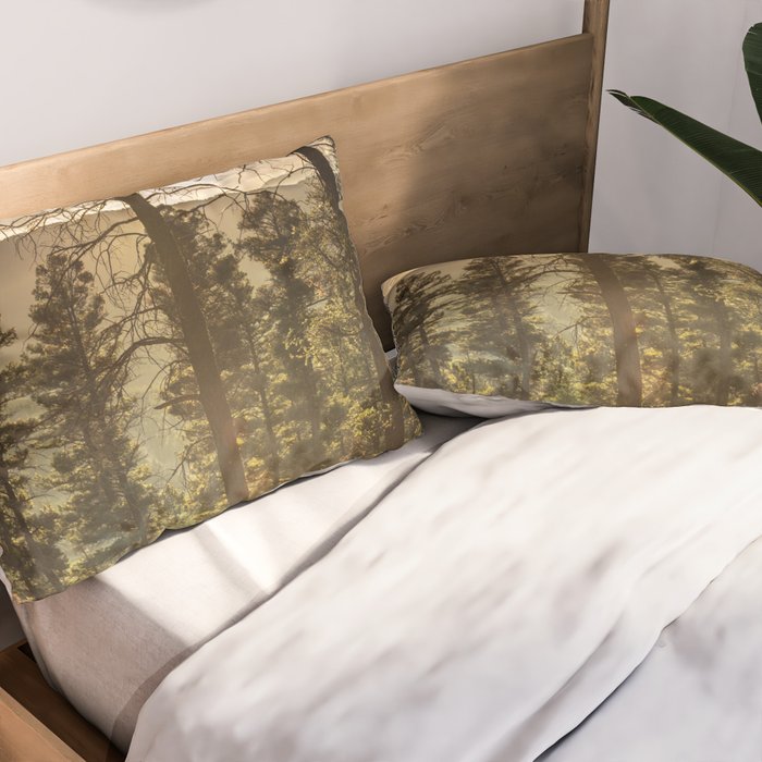 Mountain Forest New Mexico - Nature Photography Pillow Sham Gallery Image 2