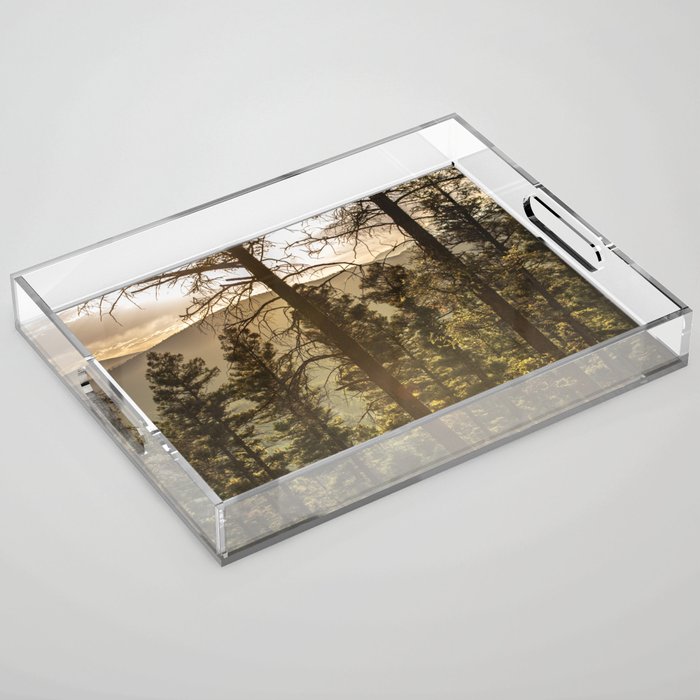 Mountain Forest New Mexico - Nature Photography Acrylic Tray Gallery Image 1