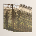Mountain Forest New Mexico - Nature Photography Wrapping Paper Gallery Image 3