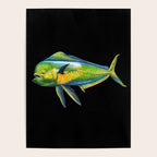 Mahi Mahi Poster Gallery Image 4