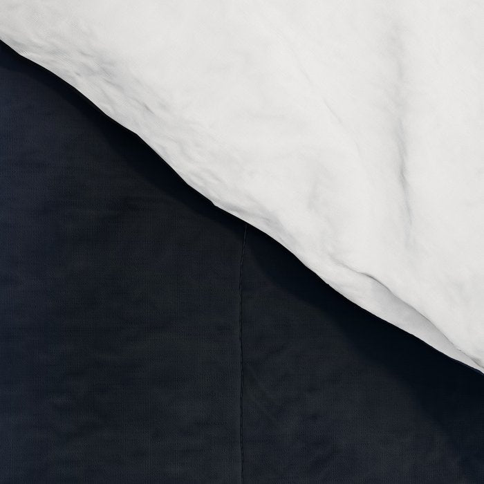 Pale Blue Dot poster, NASA Voyager 1 with Carl Sagan quote (vector art) Comforter Gallery Image 4