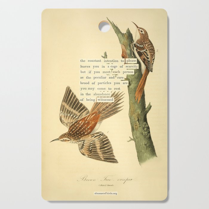 Bird Divinations: Brown Tree-creeper (about: almanacofbirds.org) Cutting Board Gallery Image 1