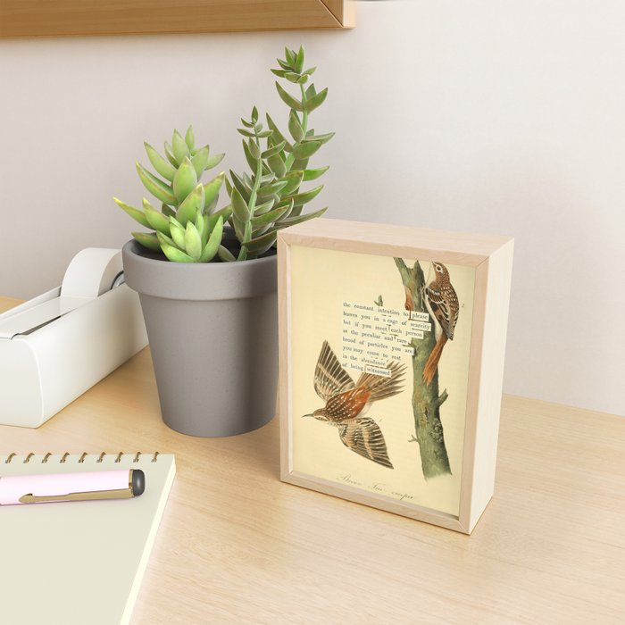 Bird Divinations: Brown Tree-creeper (about: almanacofbirds.org) Mini Art Print Gallery Image 2