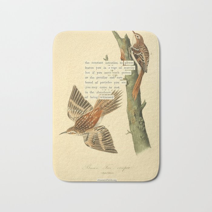 Bird Divinations: Brown Tree-creeper (about: almanacofbirds.org) Bath Mat Gallery Image 1