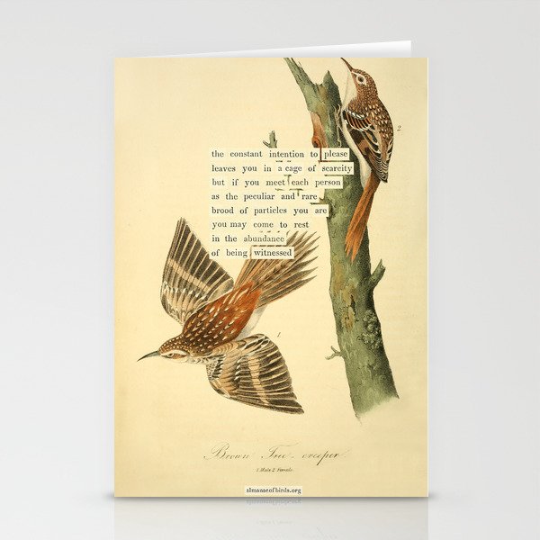 Bird Divinations: Brown Tree-creeper (about: almanacofbirds.org) Stationery Card Gallery Image 2