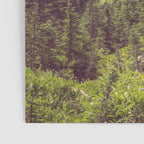 Faraway - Wilderness Nature Photography Poster Gallery Image 3