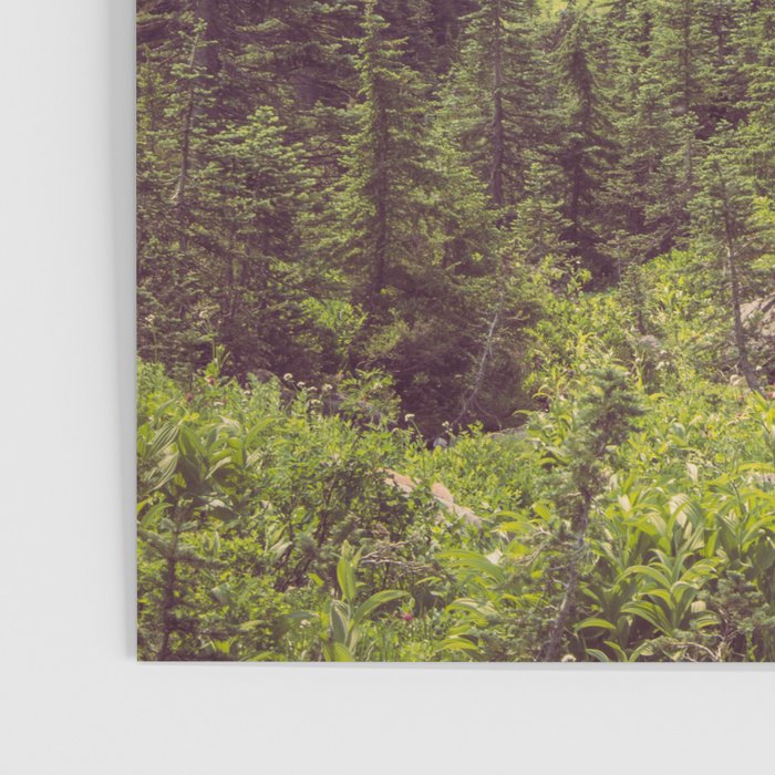 Faraway - Wilderness Nature Photography Poster Gallery Image 3
