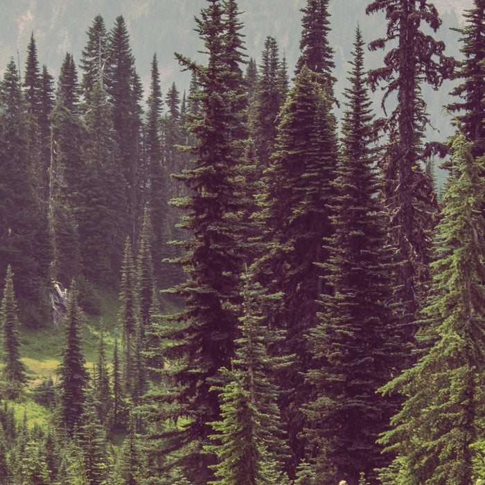 Faraway - Wilderness Nature Photography Coffee Mug Gallery Image 2