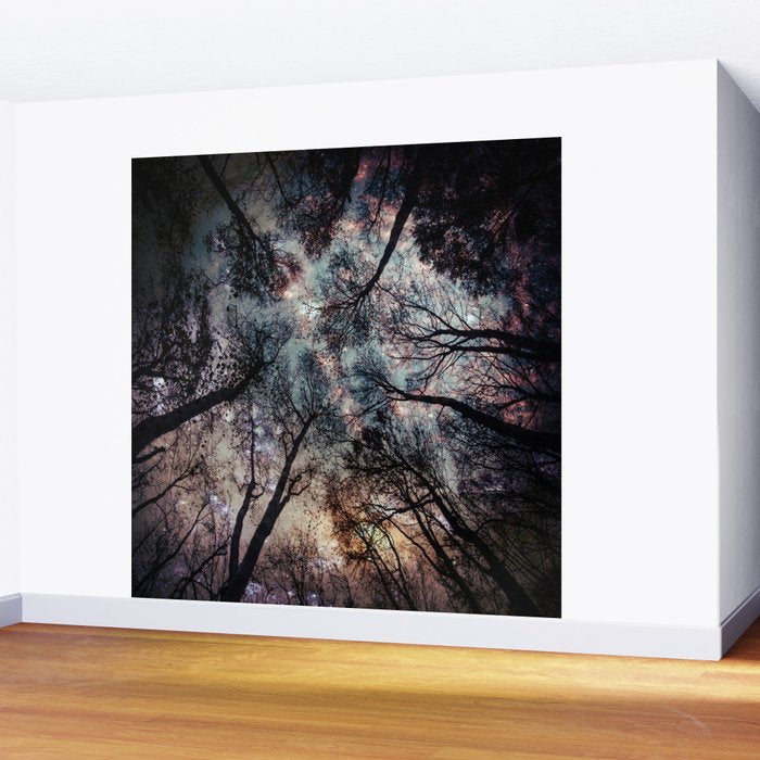 Starry Sky in the Forest Wall Mural Gallery Image 2
