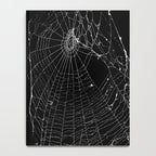 Spider Web Notebook Gallery Image 4