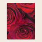 Red roses Notebook Gallery Image 4