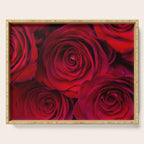 Red roses Serving Tray Gallery Image 1