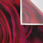 Red roses Wall Tapestry Gallery Image 3