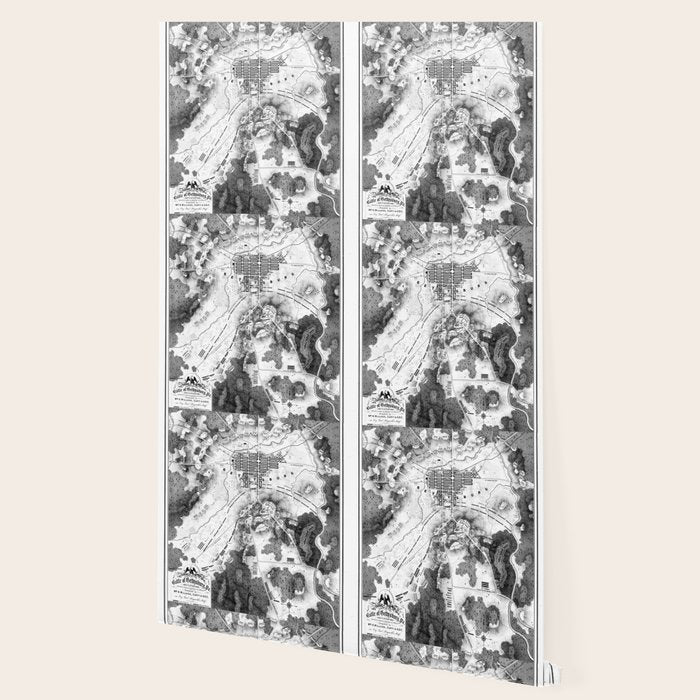 Vintage Map of The Gettysburg Battlefield (1863)BW Wallpaper Gallery Image 2
