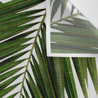 Palm Leaf II Wall Tapestry Gallery Image 3